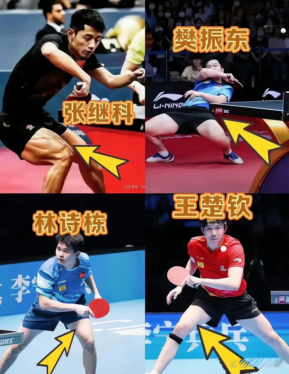 关于日本乒乓球队完胜瑞典乒乓球队，张继科三分雨点燃全场的信息