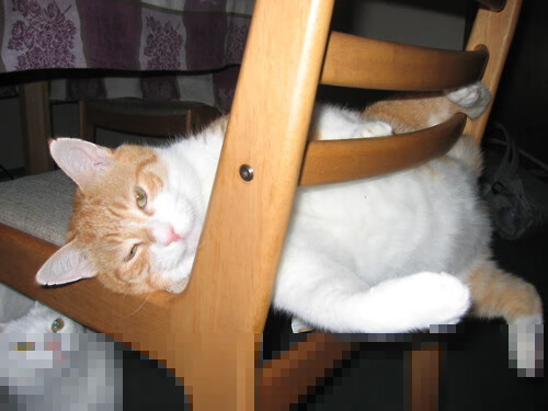 英超争冠之夜，阿圭罗冠军级表现，铸就永恒传奇