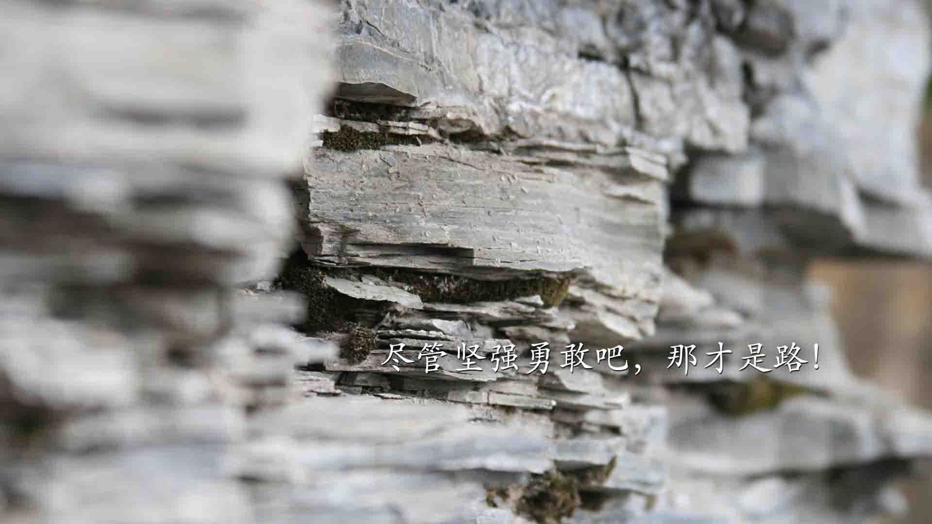 特奥掌舵,墨西哥铁蹄踏平三狮军团—美洲风暴席卷欧洲豪门