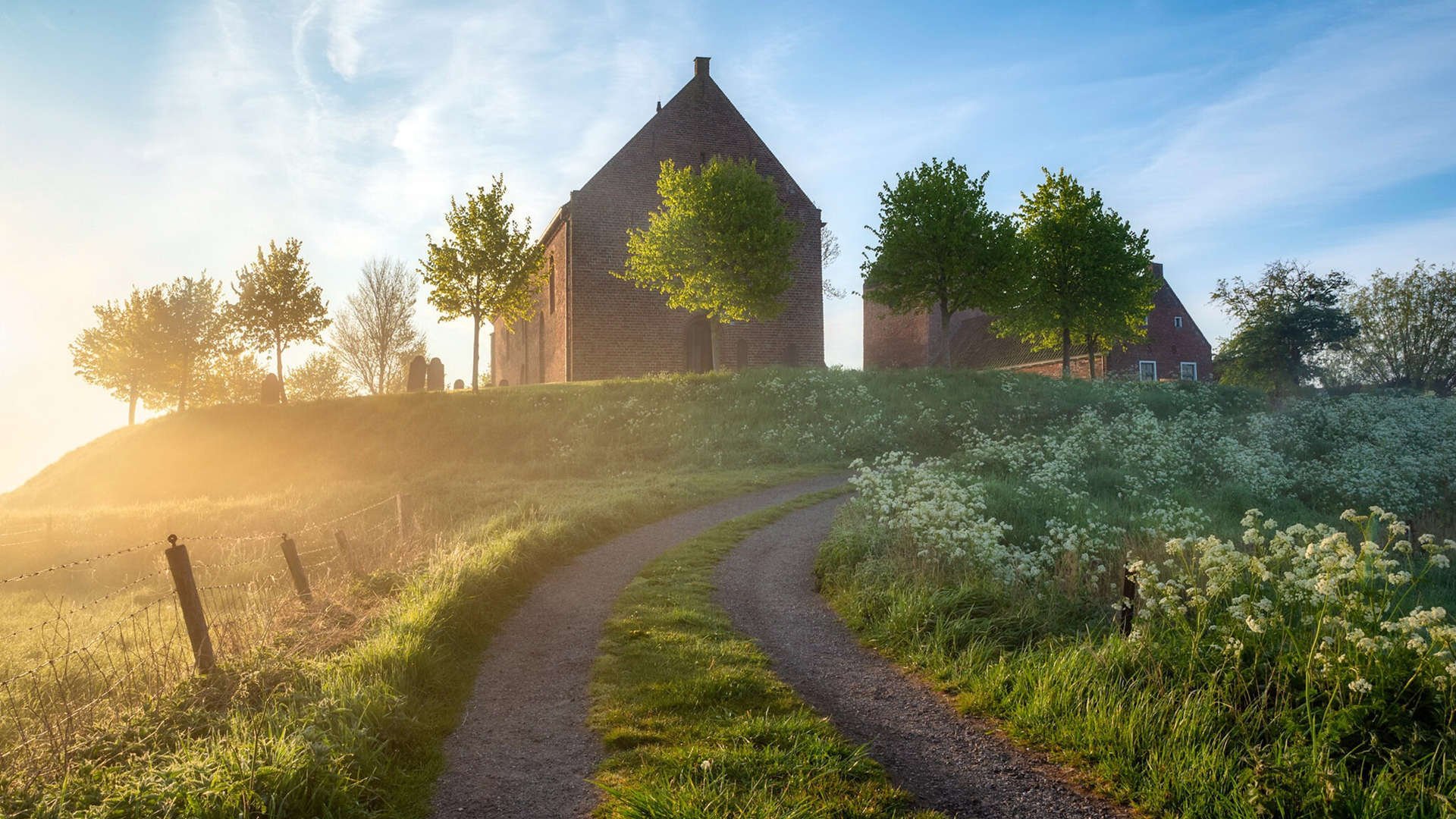 足球与铁矿石，当迪巴拉的激情照亮马里强权的阴影