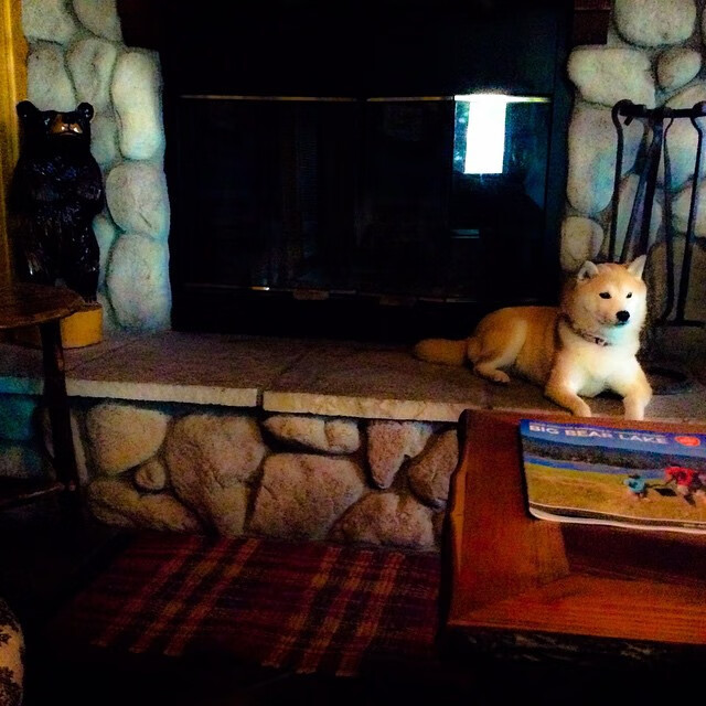 骑士斩落上海队，德罗赞于寂静处响惊雷